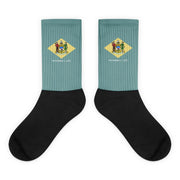 Delaware Flag Socks - Flag Socks International